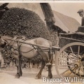 BygoneWallingford-1126