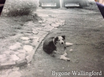 BygoneWallingford-1279