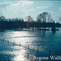 BygoneWallingford-1615
