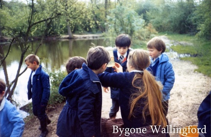 pond dipping infants2