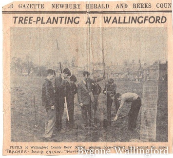 tree planting 1950s 001